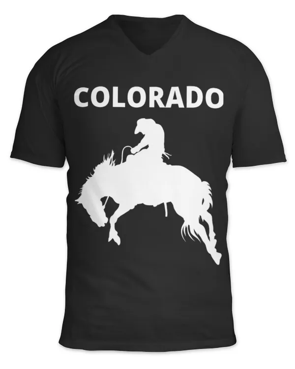 Unisex Jersey SS V-Neck T-Shirt
