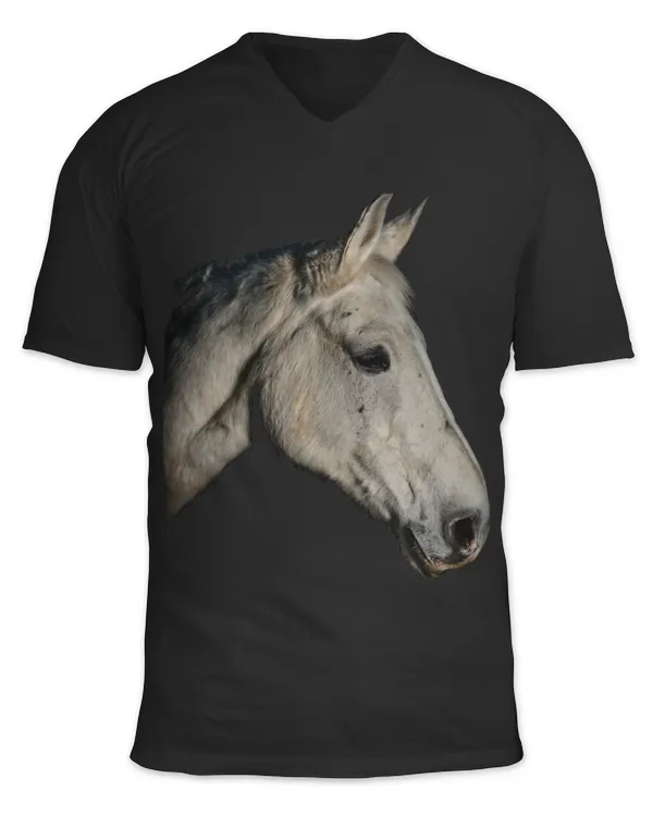 Unisex Jersey SS V-Neck T-Shirt
