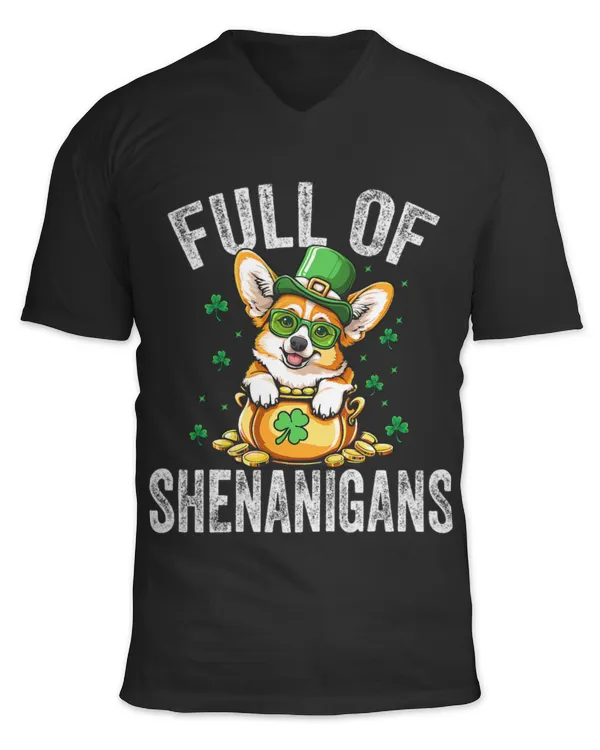 Unisex Jersey SS V-Neck T-Shirt