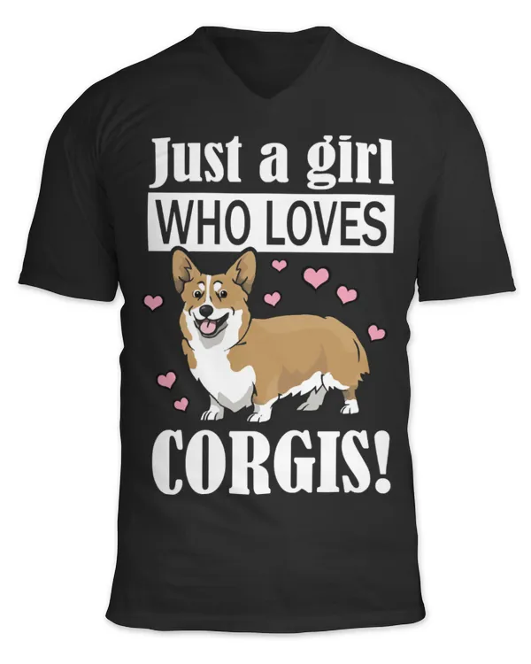 Unisex Jersey SS V-Neck T-Shirt