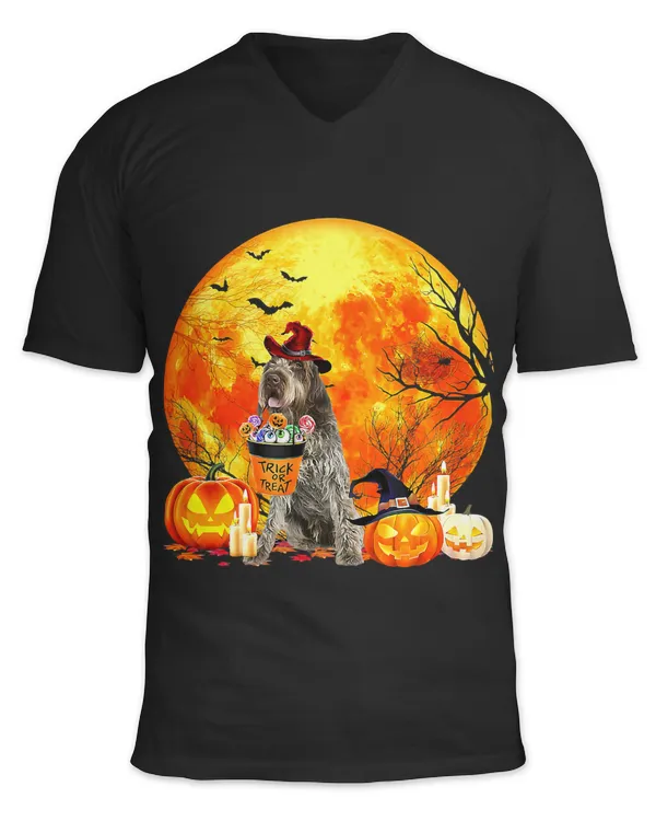 Unisex Jersey SS V-Neck T-Shirt
