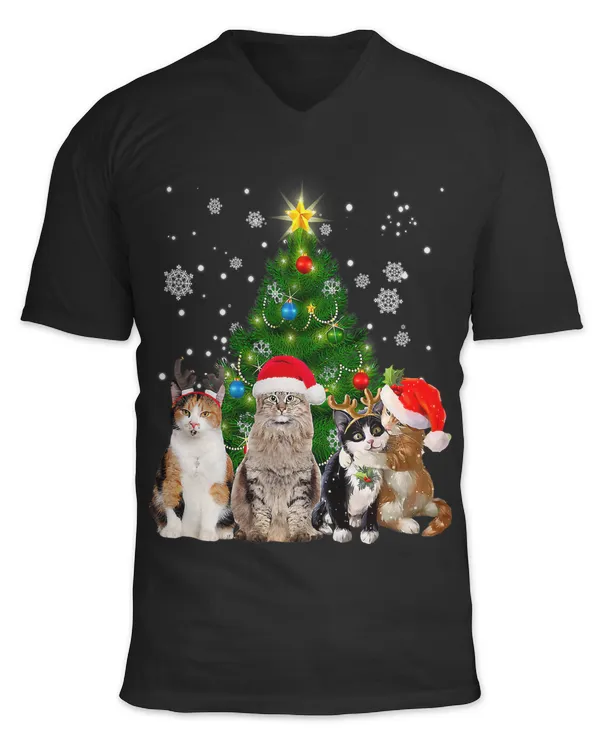 Unisex Jersey SS V-Neck T-Shirt
