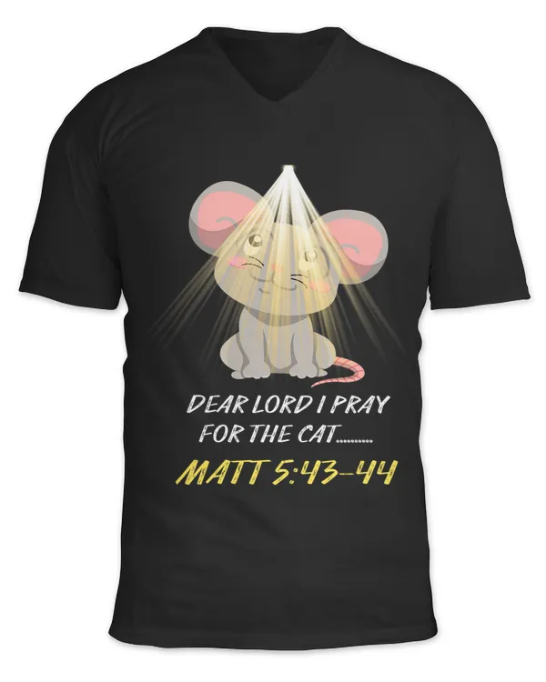 Unisex Jersey SS V-Neck T-Shirt