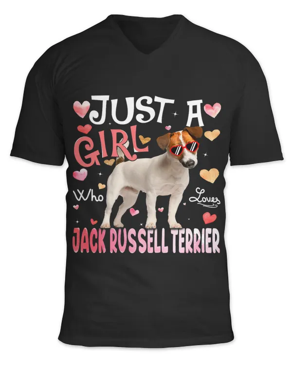 Unisex Jersey SS V-Neck T-Shirt