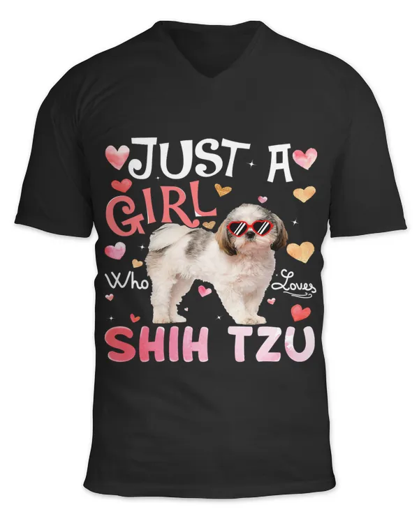 Unisex Jersey SS V-Neck T-Shirt