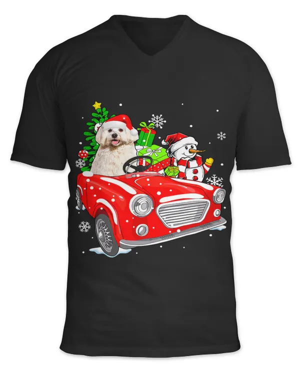 Unisex Jersey SS V-Neck T-Shirt