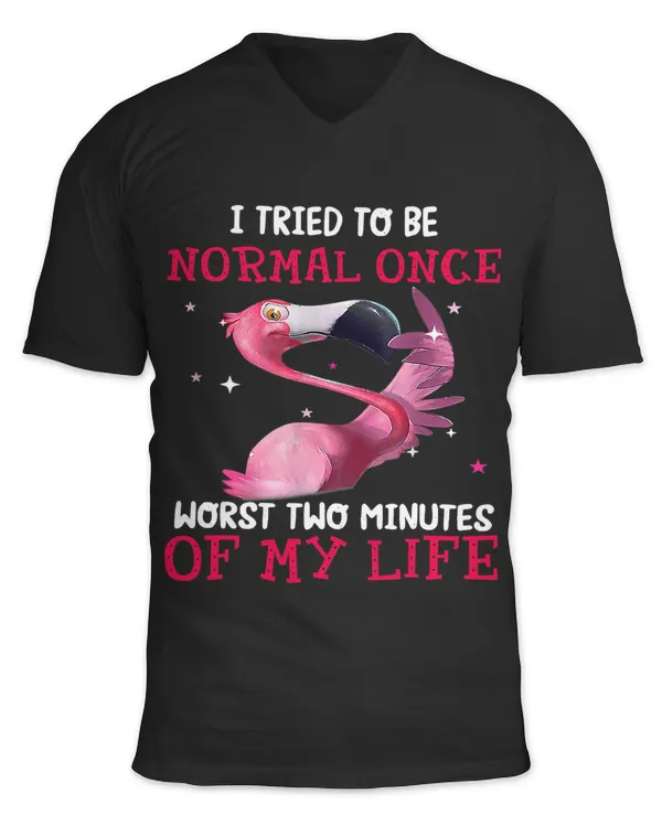 Unisex Jersey SS V-Neck T-Shirt