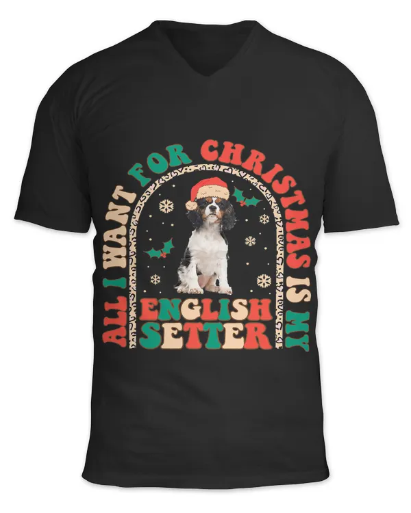 Unisex Jersey SS V-Neck T-Shirt