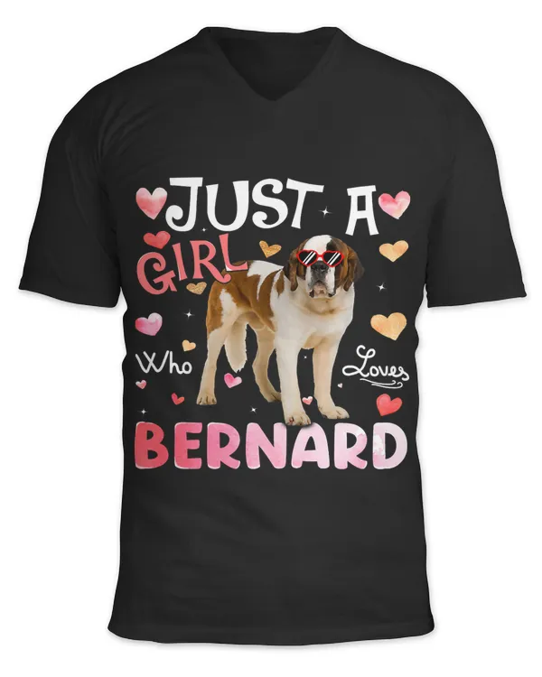 Unisex Jersey SS V-Neck T-Shirt
