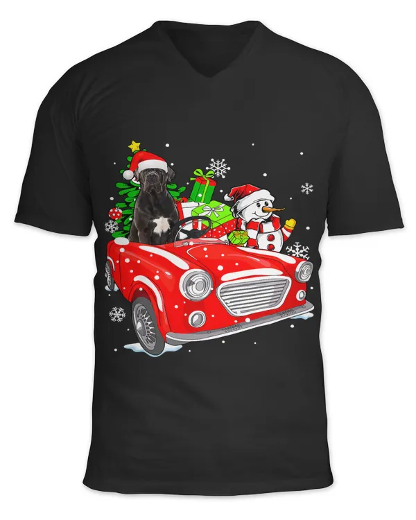 Unisex Jersey SS V-Neck T-Shirt