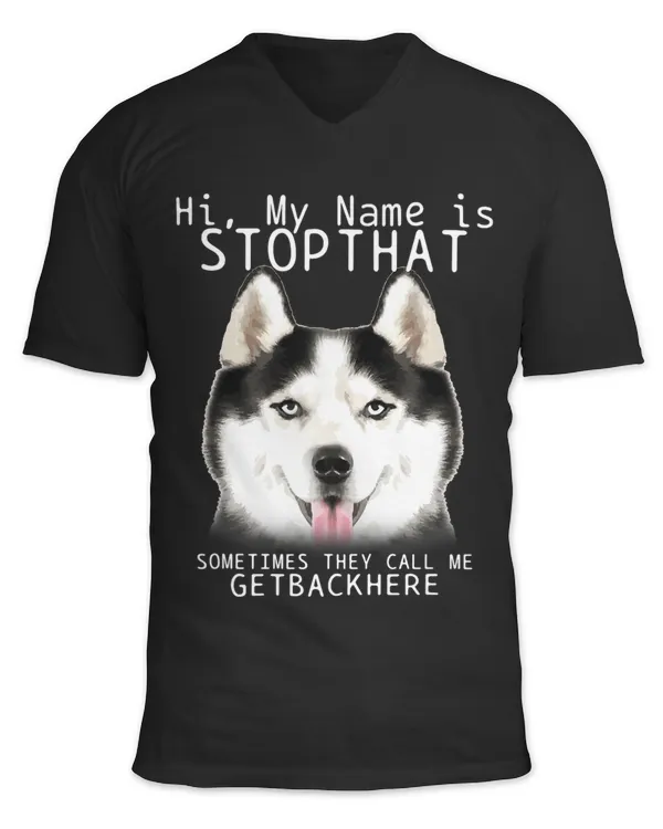 Unisex Jersey SS V-Neck T-Shirt