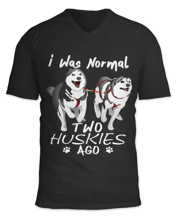 Unisex Jersey SS V-Neck T-Shirt