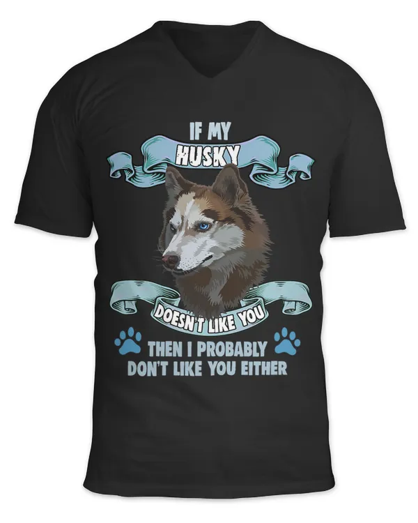 Unisex Jersey SS V-Neck T-Shirt