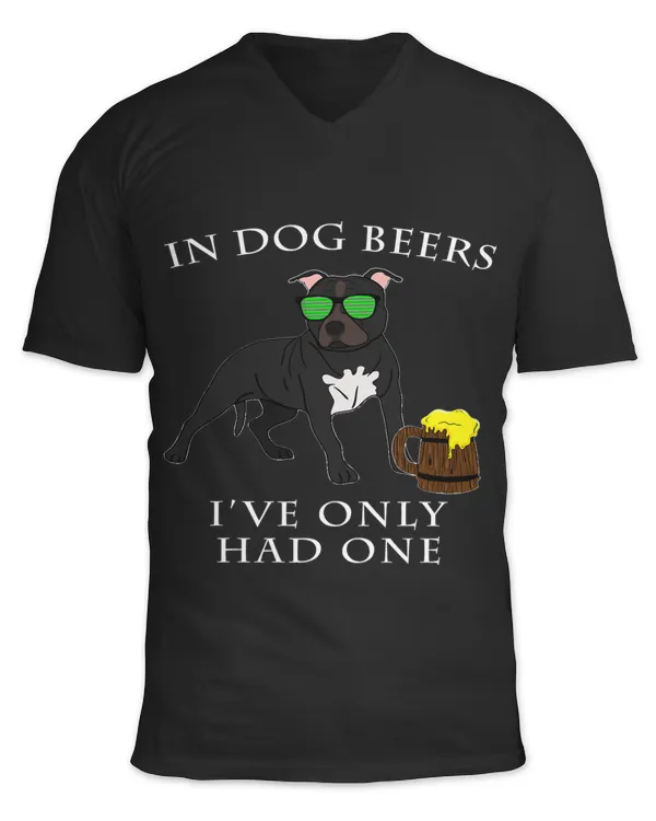 Unisex Jersey SS V-Neck T-Shirt