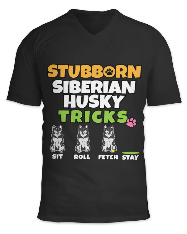Unisex Jersey SS V-Neck T-Shirt