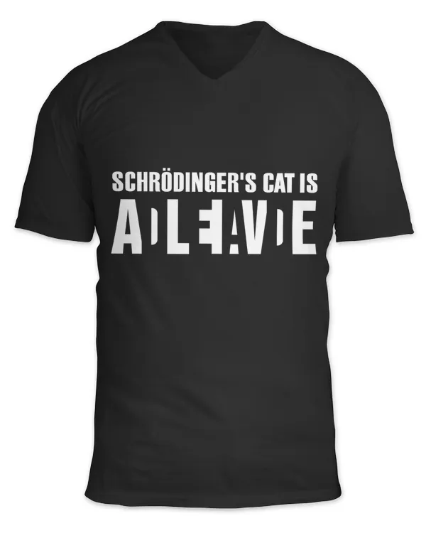 Unisex Jersey SS V-Neck T-Shirt