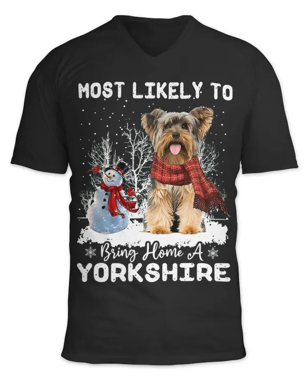 Unisex Jersey SS V-Neck T-Shirt
