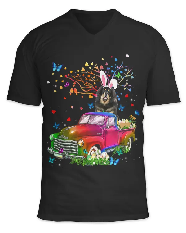 Unisex Jersey SS V-Neck T-Shirt