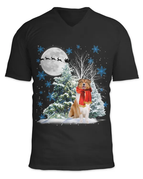 Unisex Jersey SS V-Neck T-Shirt