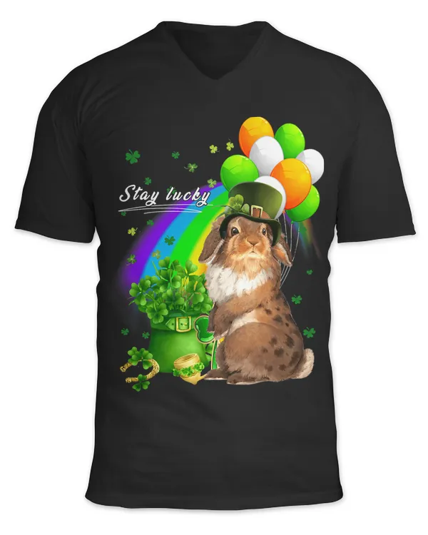 Unisex Jersey SS V-Neck T-Shirt
