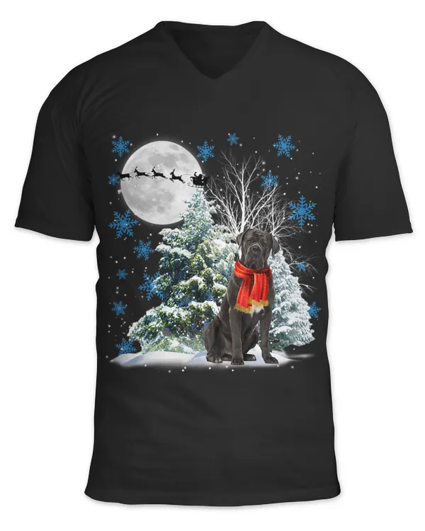 Unisex Jersey SS V-Neck T-Shirt