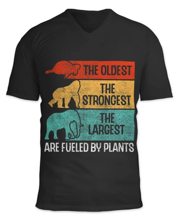 Unisex Jersey SS V-Neck T-Shirt