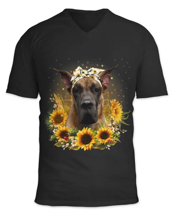 Unisex Jersey SS V-Neck T-Shirt