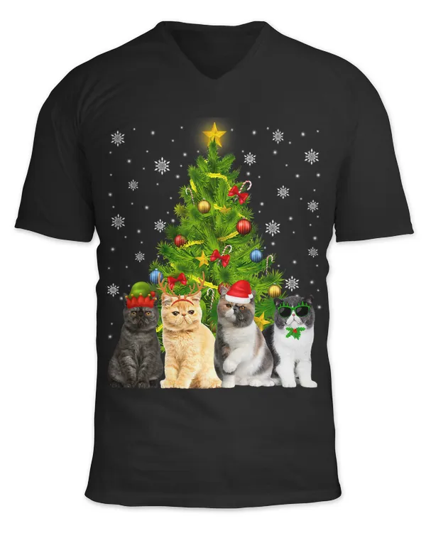Unisex Jersey SS V-Neck T-Shirt
