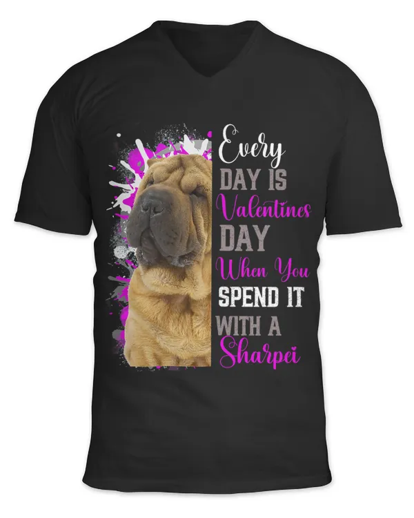 Unisex Jersey SS V-Neck T-Shirt