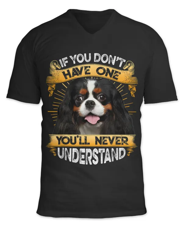 Unisex Jersey SS V-Neck T-Shirt