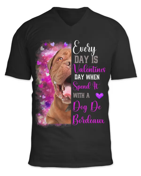 Unisex Jersey SS V-Neck T-Shirt