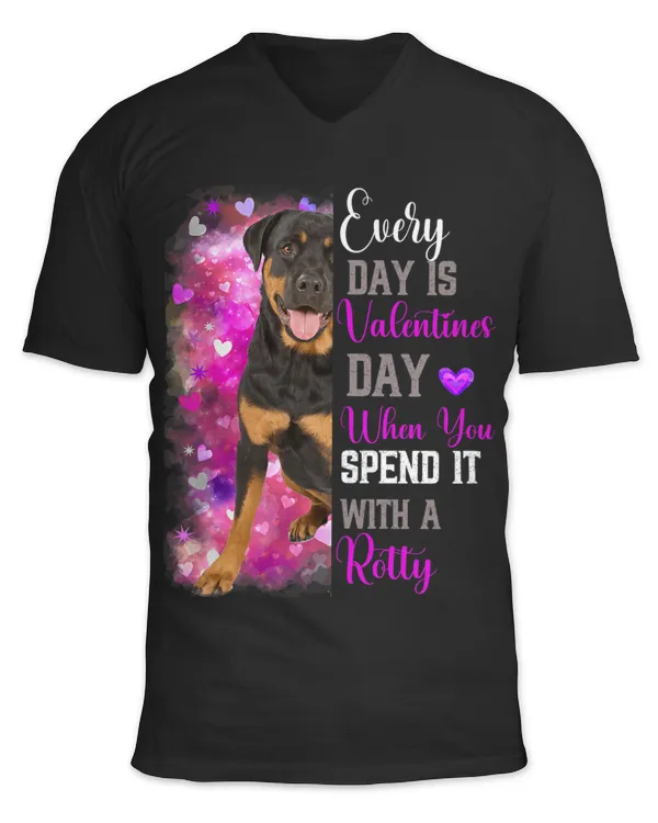 Unisex Jersey SS V-Neck T-Shirt