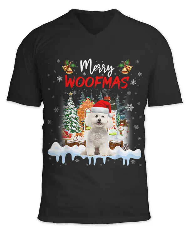 Unisex Jersey SS V-Neck T-Shirt