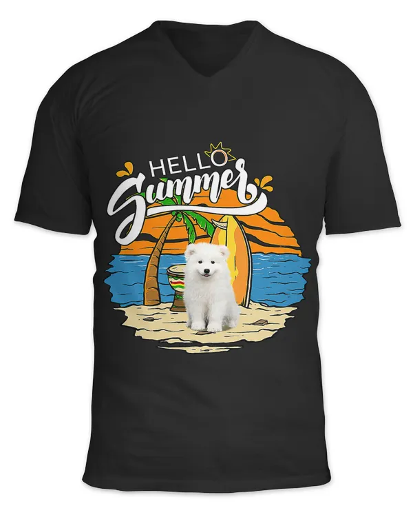 Unisex Jersey SS V-Neck T-Shirt