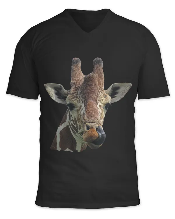 Funny giraffe wild animal in Kenya Africa