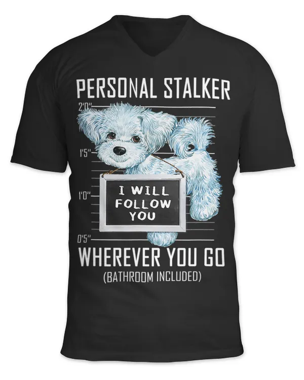 Unisex Jersey SS V-Neck T-Shirt
