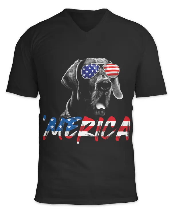 Unisex Jersey SS V-Neck T-Shirt