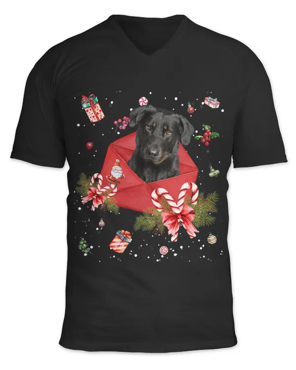 Beauceron Dog In Christmas Card Ornament Pajama Xmas424