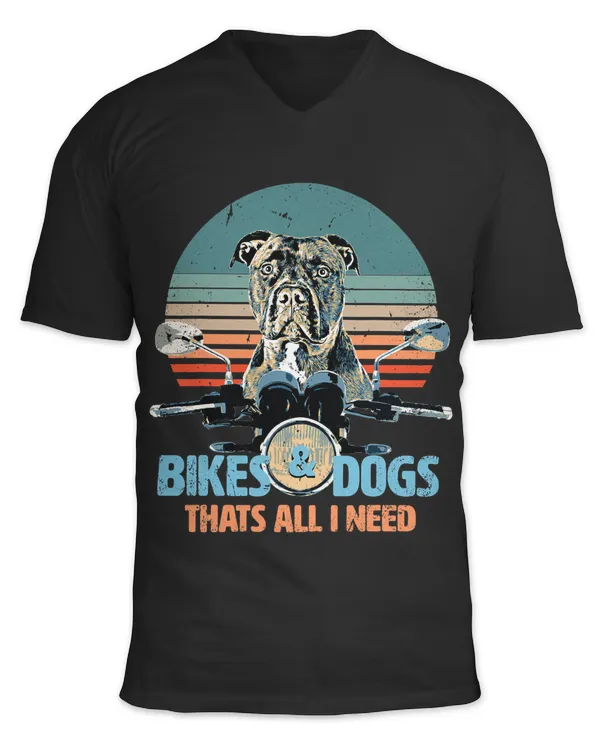 Bikes Dogs Cute American Bully rides Motorcycle 198