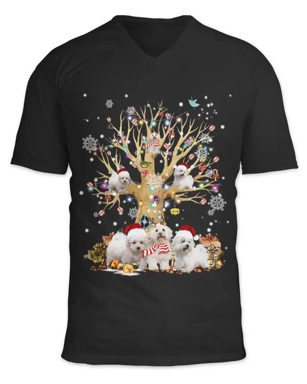 Unisex Jersey SS V-Neck T-Shirt