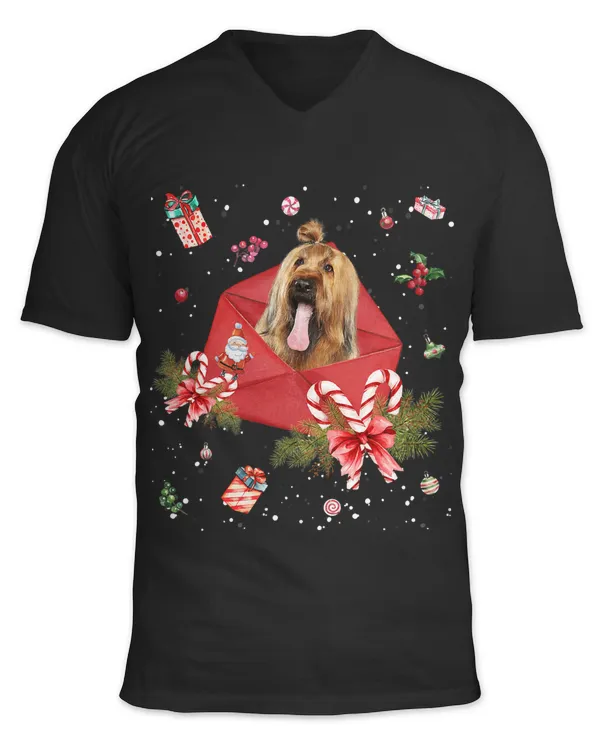 Briard Dog In Christmas Card Ornament Pajama Xmas431