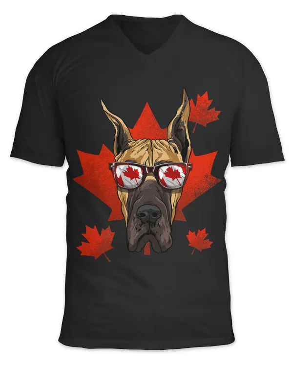 Unisex Jersey SS V-Neck T-Shirt