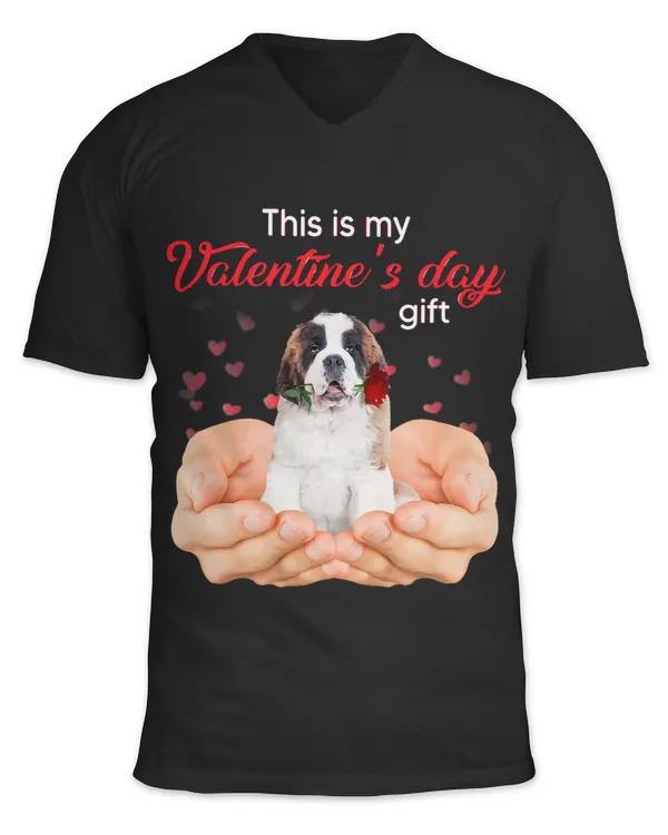Unisex Jersey SS V-Neck T-Shirt