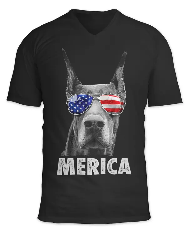 Unisex Jersey SS V-Neck T-Shirt