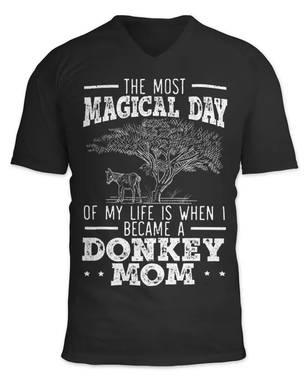 Unisex Jersey SS V-Neck T-Shirt
