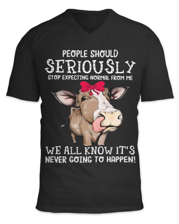 Unisex Jersey SS V-Neck T-Shirt