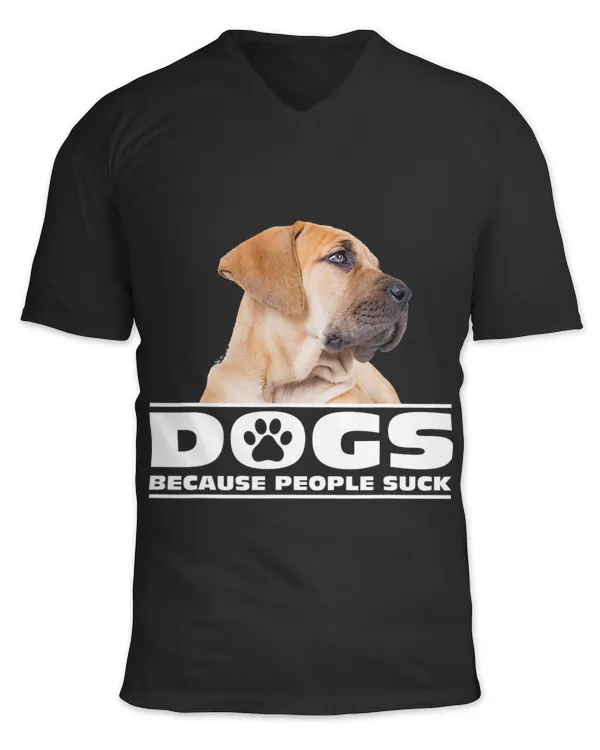 Unisex Jersey SS V-Neck T-Shirt