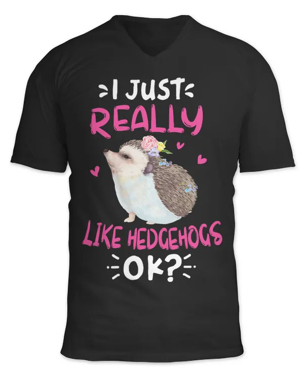 Unisex Jersey SS V-Neck T-Shirt