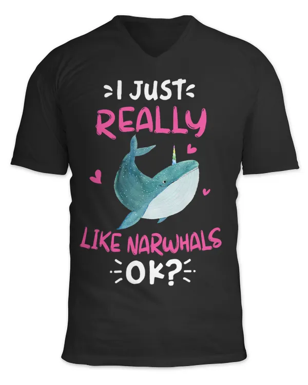 Unisex Jersey SS V-Neck T-Shirt