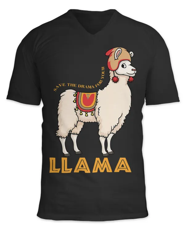 Unisex Jersey SS V-Neck T-Shirt